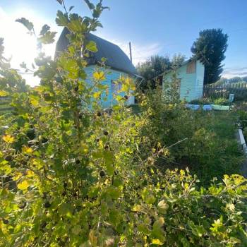 Продается Дом, 25 м²