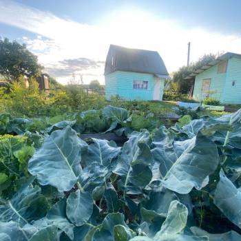 Продается Дом, 25 м²