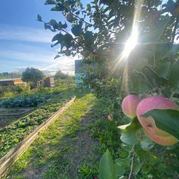 Продается Дом, 25 м²