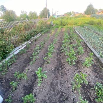 Продается Дом, 25 м²