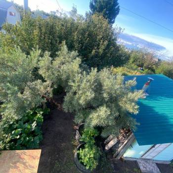 Продается Дом, 25 м²