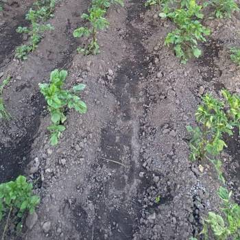 Продается Дом, 25 м²