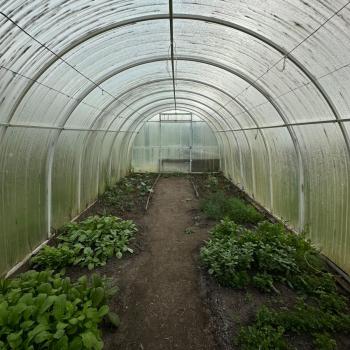 Продается Дом, 20 м²