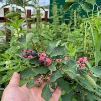 Продается Дом, 50 м²