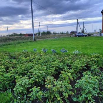 Продается Дом, 165 м²