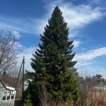 Продается Дом, 20 м²