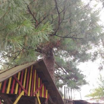 Продается Дом, 60 м²