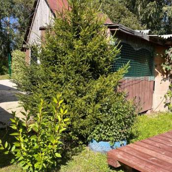 Продается Дом, 25 м²