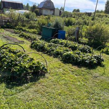 Продается Дом, 25 м²