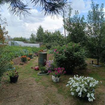 Продается Дом, 16 м²