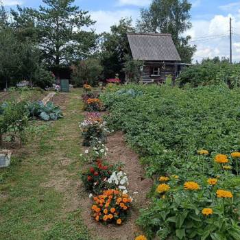 Продается Дом, 16 м²