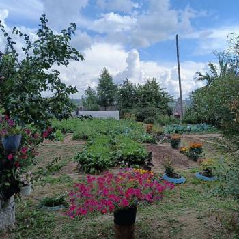 Продается Дом, 16 м²