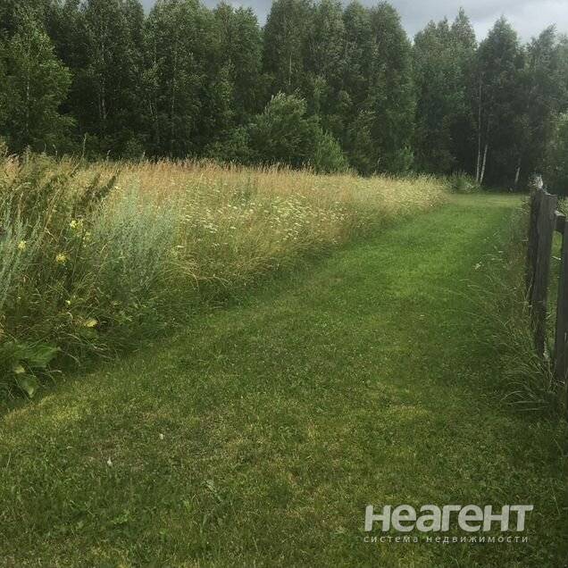 Фотография №2