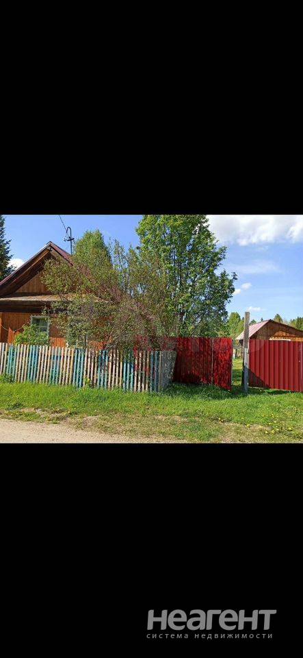 Фотография №2