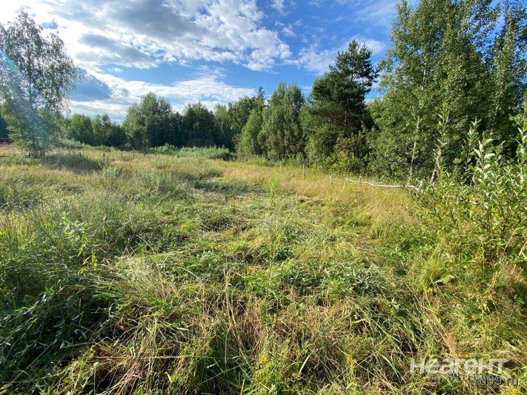 Продам земельный участок, пос. Кисловка, собственник