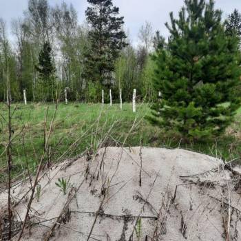 Продается Участок, 1000 м²