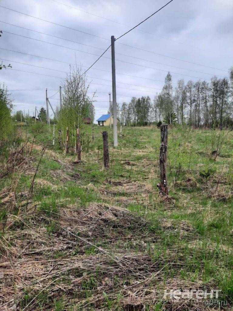 Фотография №2