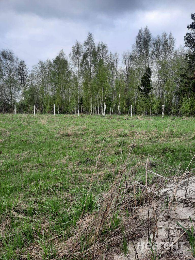 Фотография №4