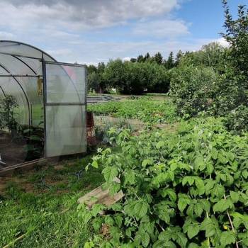 Продается Дом, 54 м²