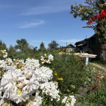 Продается Дом, 64 м²