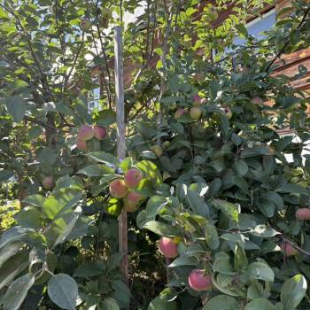 Продается Дом, 64 м²