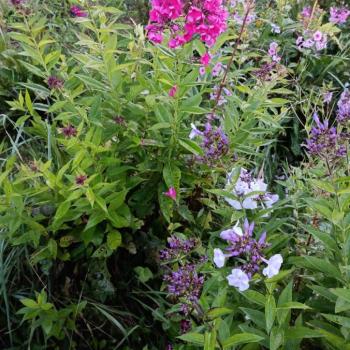 Продается Участок, 440 м²