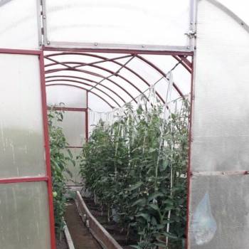 Продается Дом, 20 м²