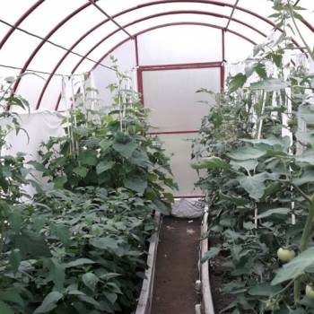 Продается Дом, 20 м²