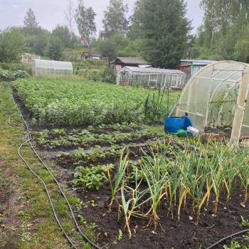 Продается Дом, 36 м²