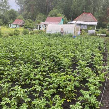 Продается Дом, 36 м²