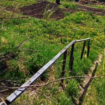 Продается Дом, 20 м²