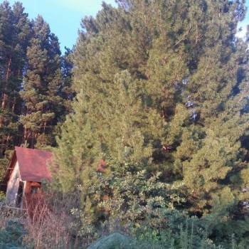 Продается Дом, 20 м²