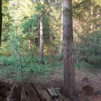 Продается Дом, 20 м²