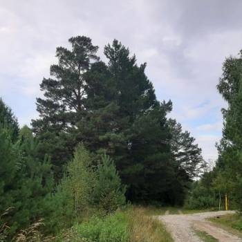 Продается Участок, 750 м²