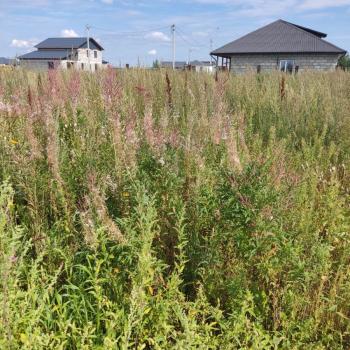 Продается Участок, 1500 м²