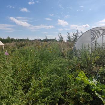 Продается Участок, 1500 м²