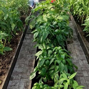 Продается Участок, 1500 м²