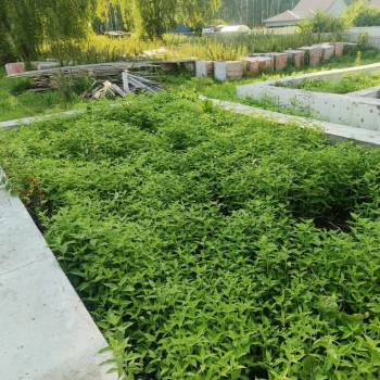 Продается Участок, 1000 м²