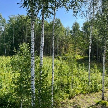 Продается Участок, 1500 м²