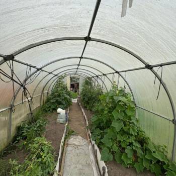 Продается Участок, 700 м²