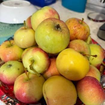 Продается Участок, 700 м²