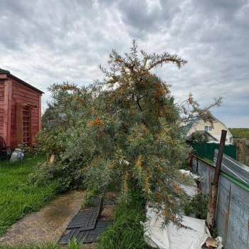 Продается Участок, 700 м²