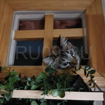 Продается 1-комнатная квартира, 15 м²