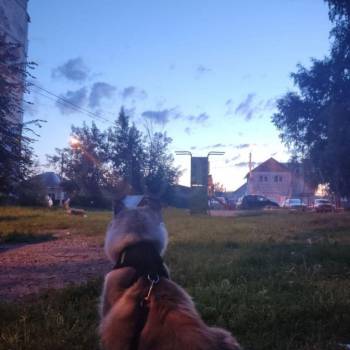 Продается 1-комнатная квартира, 15 м²