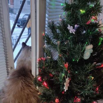 Продается 1-комнатная квартира, 15 м²