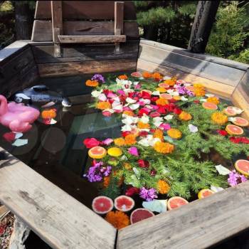 Сдается Посуточно, 32 м²