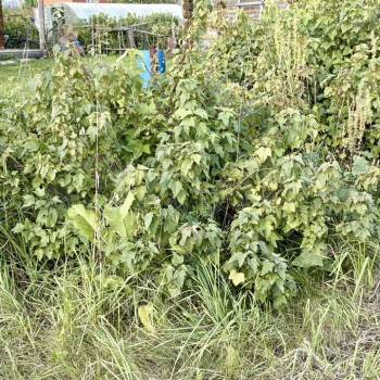 Продается Участок, 500 м²