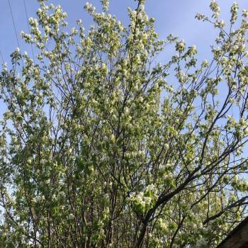 Продается Дом, 40 м²