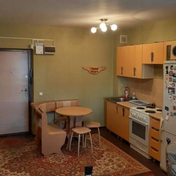 Продается 1-комнатная квартира, 29,8 м²