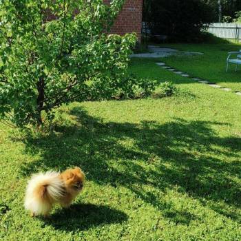 Продается Дом, 202 м²